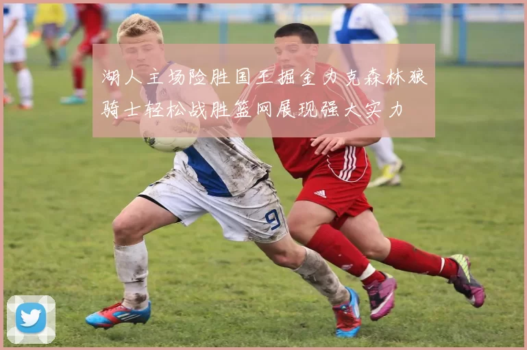 湖人主场险胜国王掘金力克森林狼骑士轻松战胜篮网展现强大实力