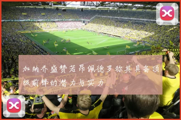 加纳乔盛赞若昂佩德罗称其具备顶级前锋的潜力与实力