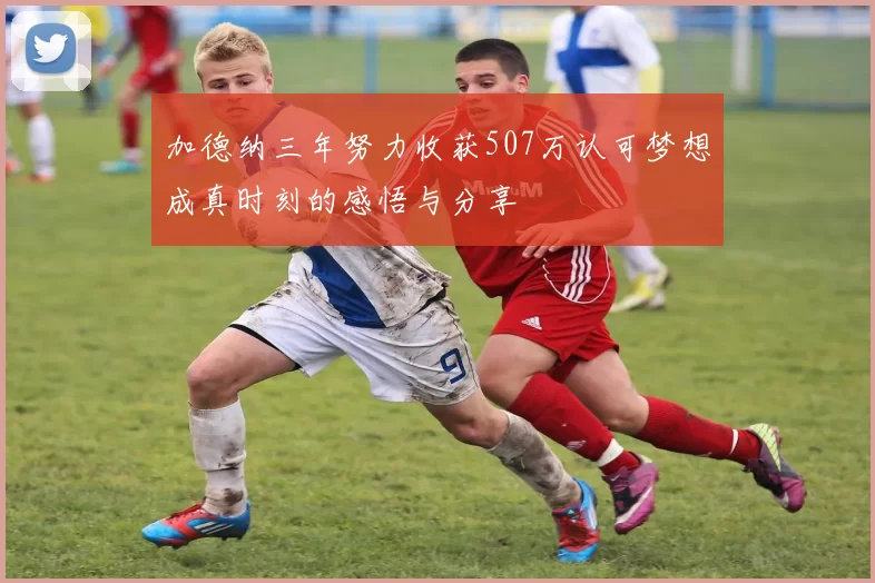 加德纳三年努力收获507万认可梦想成真时刻的感悟与分享